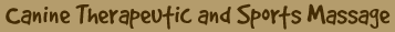 Pawsitive Kneads, Canine Therapeutic and Sports Massage, Dog Massage Therapy, in Columbus, Ohio